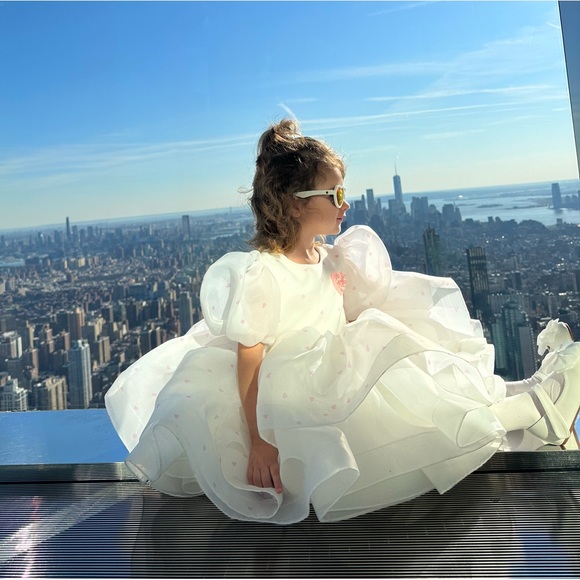 Toddlers Dress for Birthday Party or any other party - Picture 3 of 11